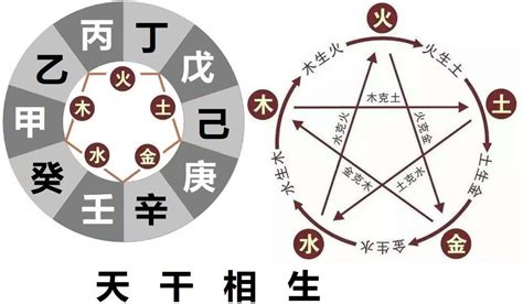 丙火 乙木|通俗的讲讲十天干的喜忌之乙木